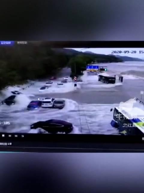 杭州新闻爆料视频最新,最新视频揭露惊人真相！